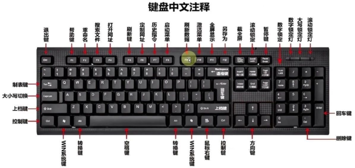 零基础学电脑先懂键盘！中文注释 + 快捷键指南，WPS/Office 入门快 3 倍-邻兔跃IT—国内优质IT 技术领域、资源分享平台「邻兔跃 IT」邻兔跃IT